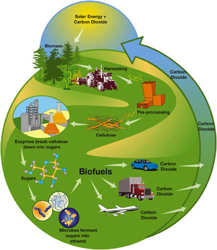 sustainable energy biofuels